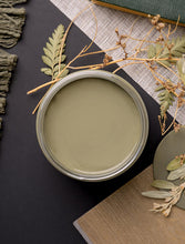 Dixie Belle - Thicket Chalk Mineral Paint - Southern Roots Collection - 44 Marketplace