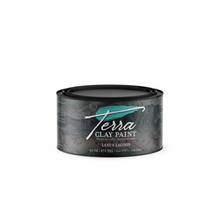 Lani's Lagoon Terra Clay Paint - 44 Marketplace
