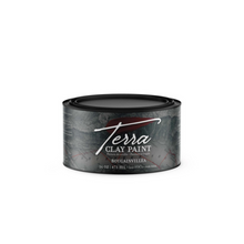 Bougainvillea Terra Clay Paint - 44 Marketplace