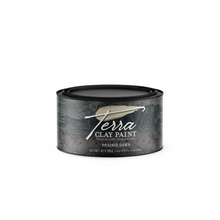 Prairie Dawn Terra Clay Paint - 44 Marketplace